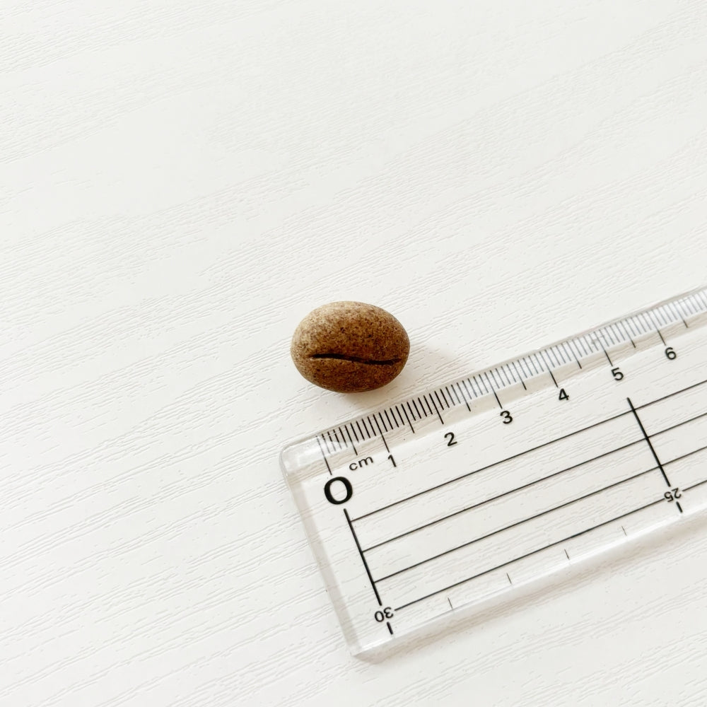 COFFEE STONE Pin Badge - Bean