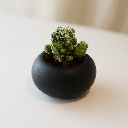 BANANA BLACK｜Pot（ミニプランター／器）