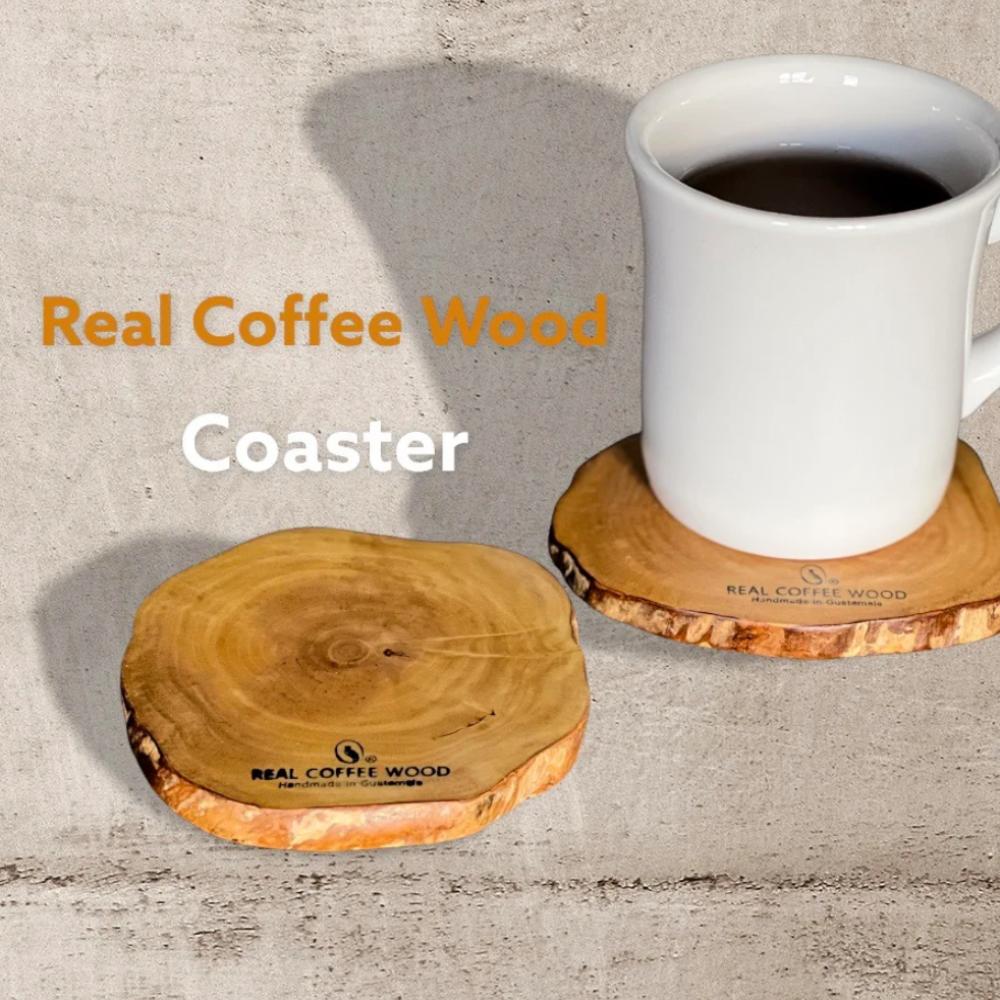 コーヒーの木コースター